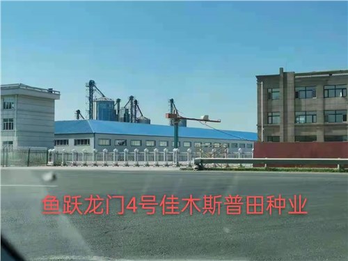 魚躍龍門工程案例
