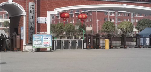 金碧輝煌系列案例