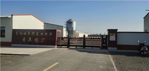 金碧輝煌系列案例